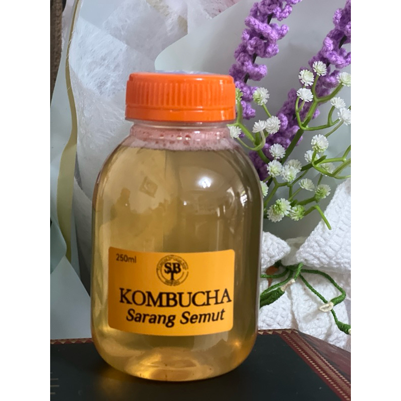 

KOMBUCHA SARANG SEMUT 250ml