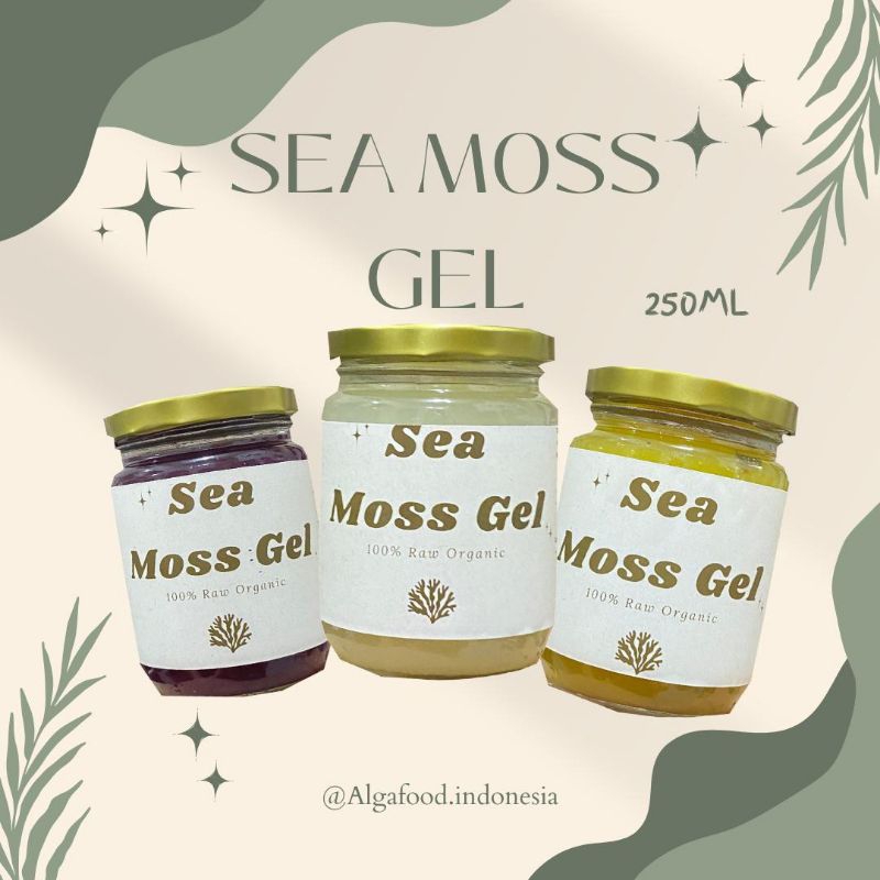 

SEAMOSS GEL paket 3 sea moss euchema cotoni