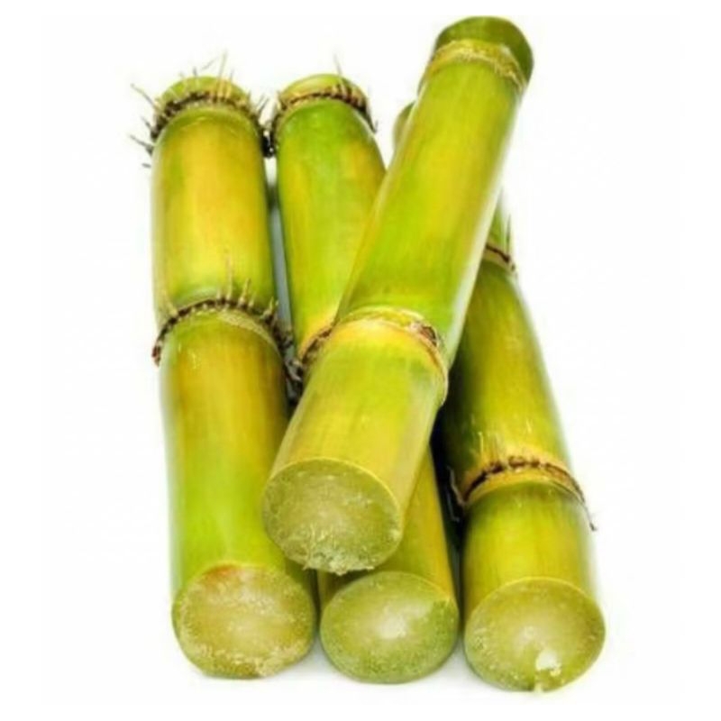 

Tebu Batangan kuning/Hijau/Hitam Kemerahan