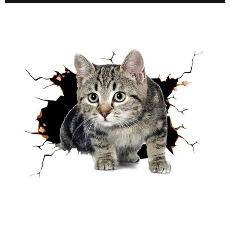 

stiker 3D kucing lucu bhan vinil lentur, anti air ukuran 20 x 18 cm