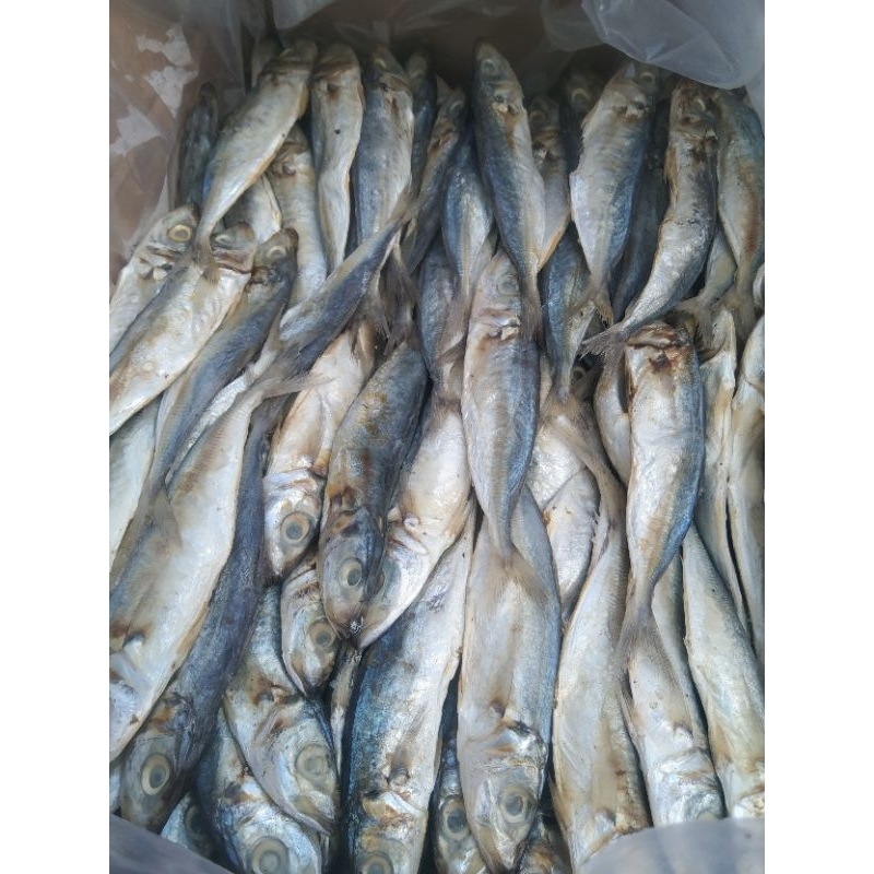 

ikan asin peda LAYANG/japuh cue/pedo pindang 1kg promo murah terlaris