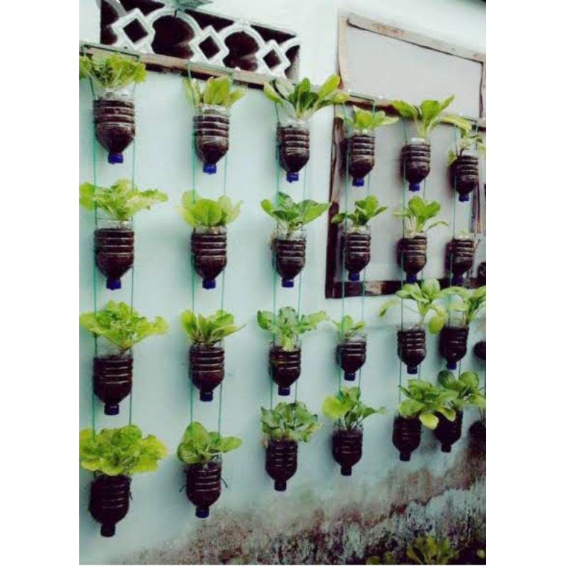Pot tanaman gantung dari botol aqua bekas 1,5 liter sesuai gambar - HARGA untuk 5 pcs