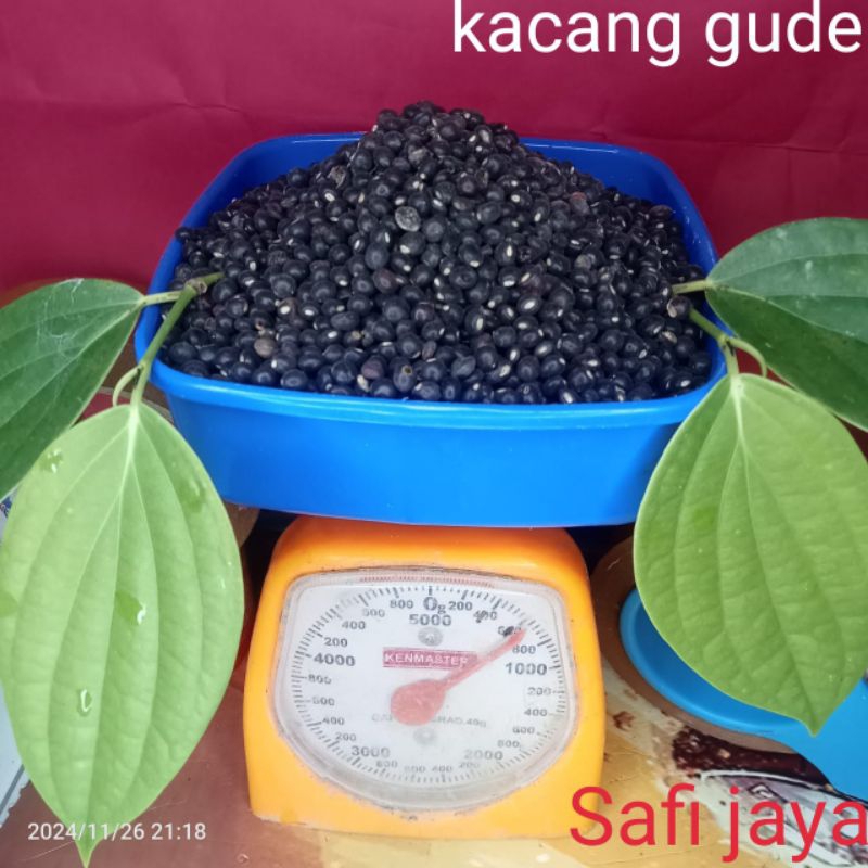 

bibit kacang gude hitam/udis
