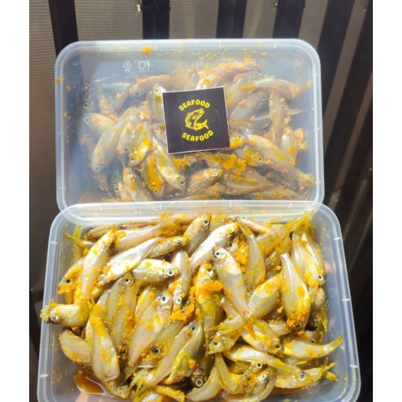 

IKAN WADER MARINASI 250GR