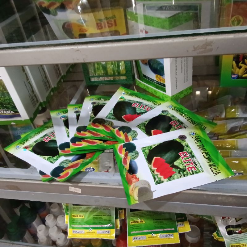 Benih Semangka Jumbo Non biji Elite F1 Lonjong daging merah (Berbobot Bisa 6-10 kg Daging Merah Cera