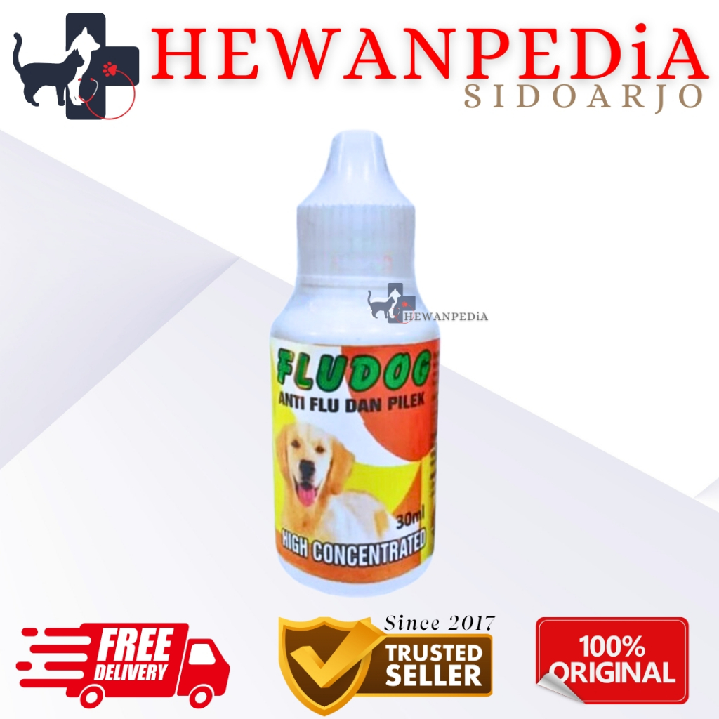FLUDOG - Obat Tetes Batuk Pilek Flu Hewan Anjing Formula Jepang