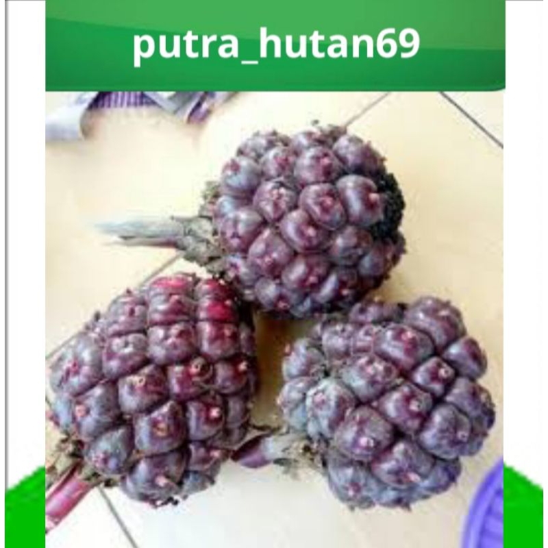 

PROMO HONJE LAKA FRESH 1KG