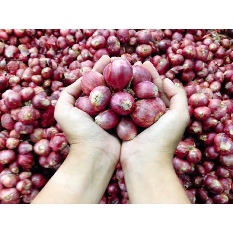 

bawa merah super 1kg murah meriah