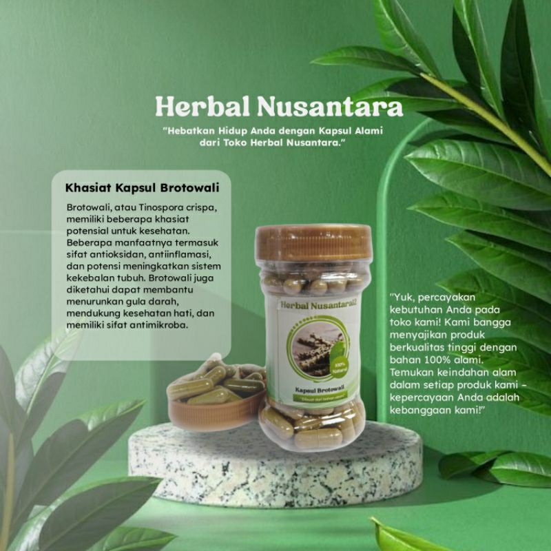 Kapsul Brotowali obat gatal kulit eksim alergi biduran gatal gatal menahun suplemen kesehatan isi 10