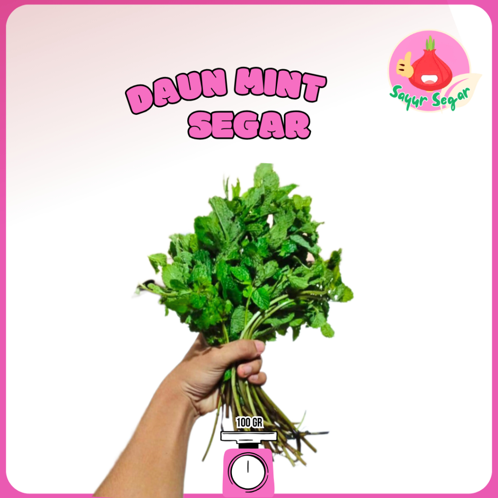 

Sayur Segar - Daun Mint Segar 100 gr / Mint Leaves