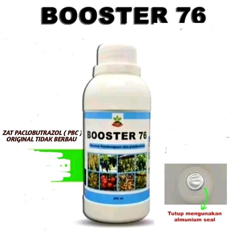 BOOSTER 76 PELEBAT DAN PEMBESAR BUAH