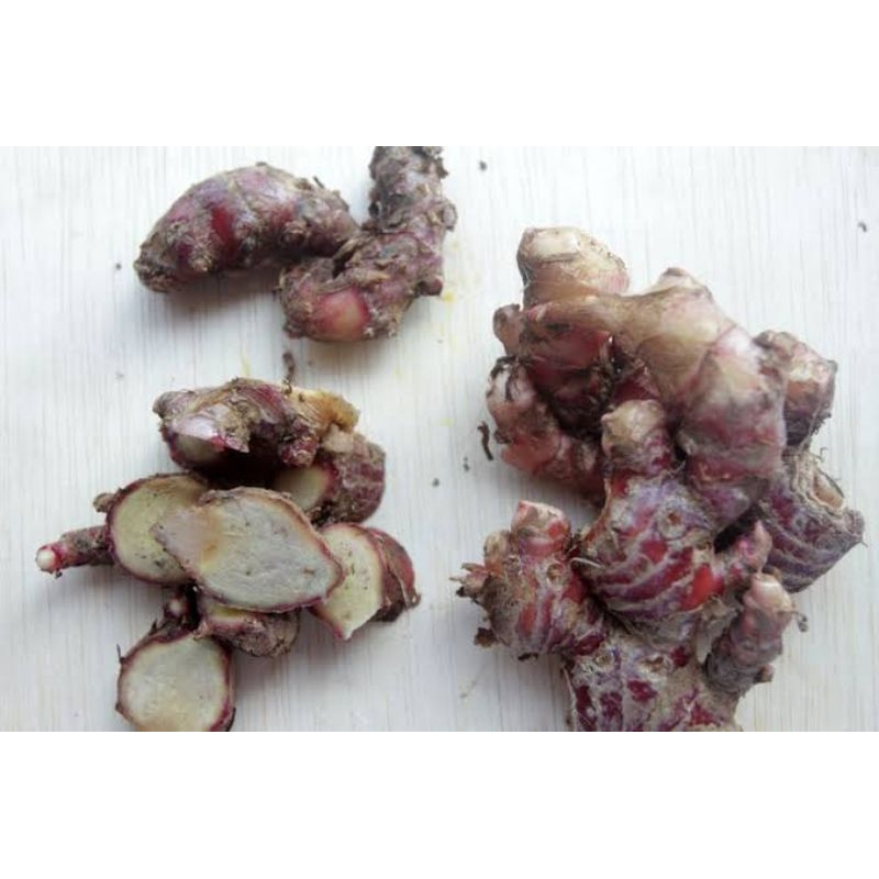 

Jahe Merah Besar / Kemasan 500 gram