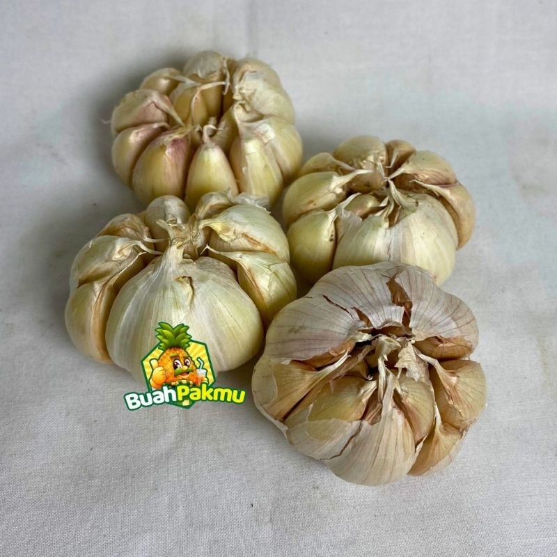 

Bawang Putih