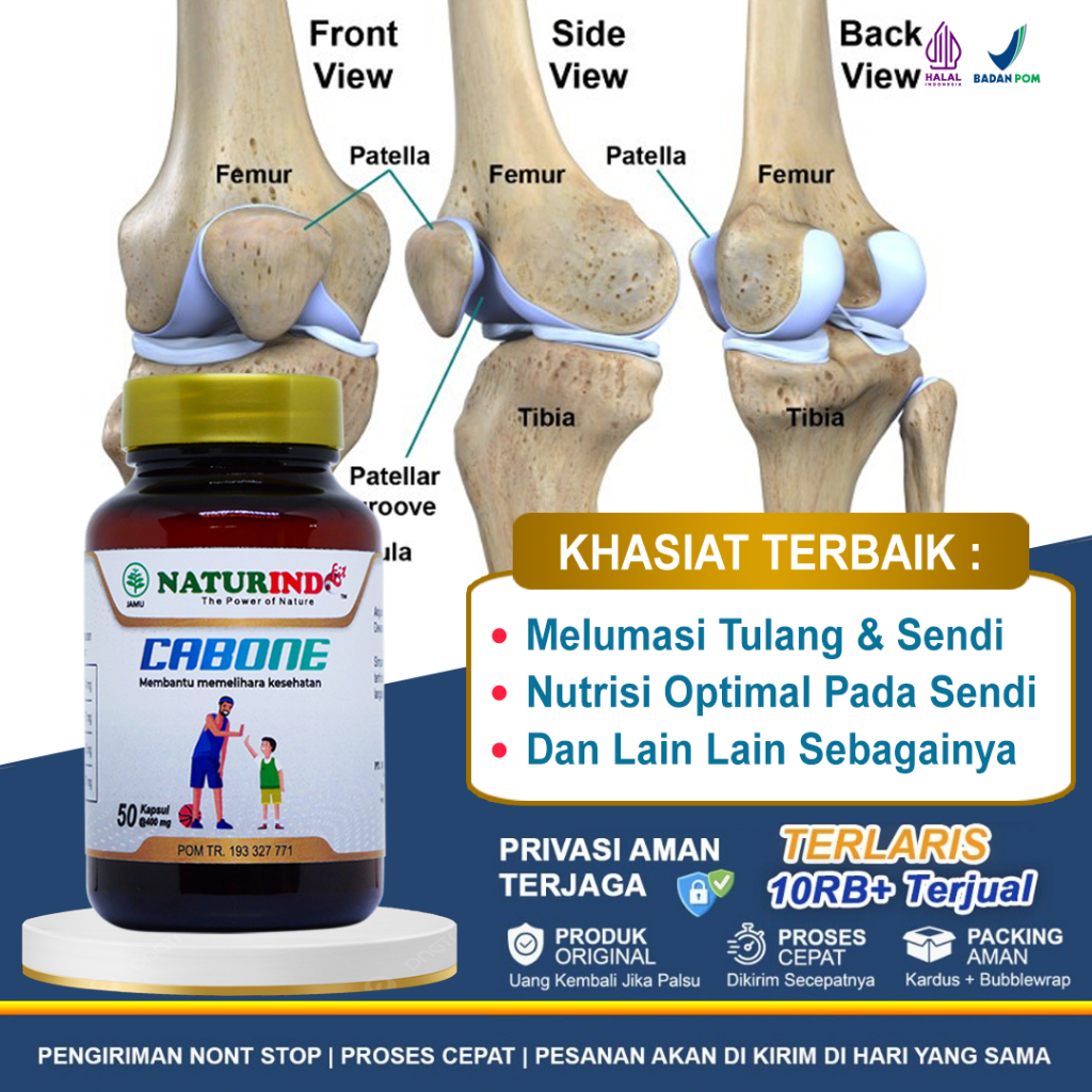 Obat Pelumas Tulang Dan Sendi Paling Ampuh, Minyak Pelumas Tulang Sendi Lutut, Penambah Kalsium, Ost