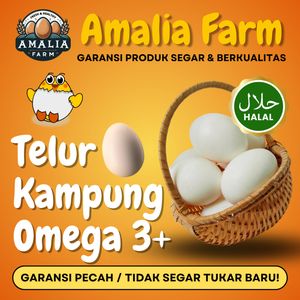 

Amalia Farm - 1 Butir Telur Ayam Kampung Omega PREMIUM