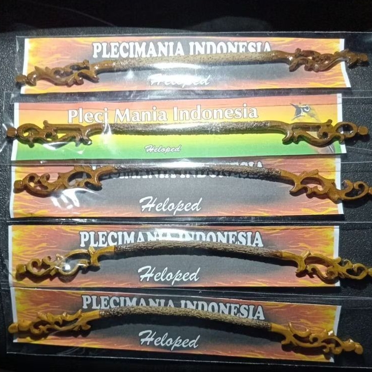 Tangkringan kandang helopet pleci