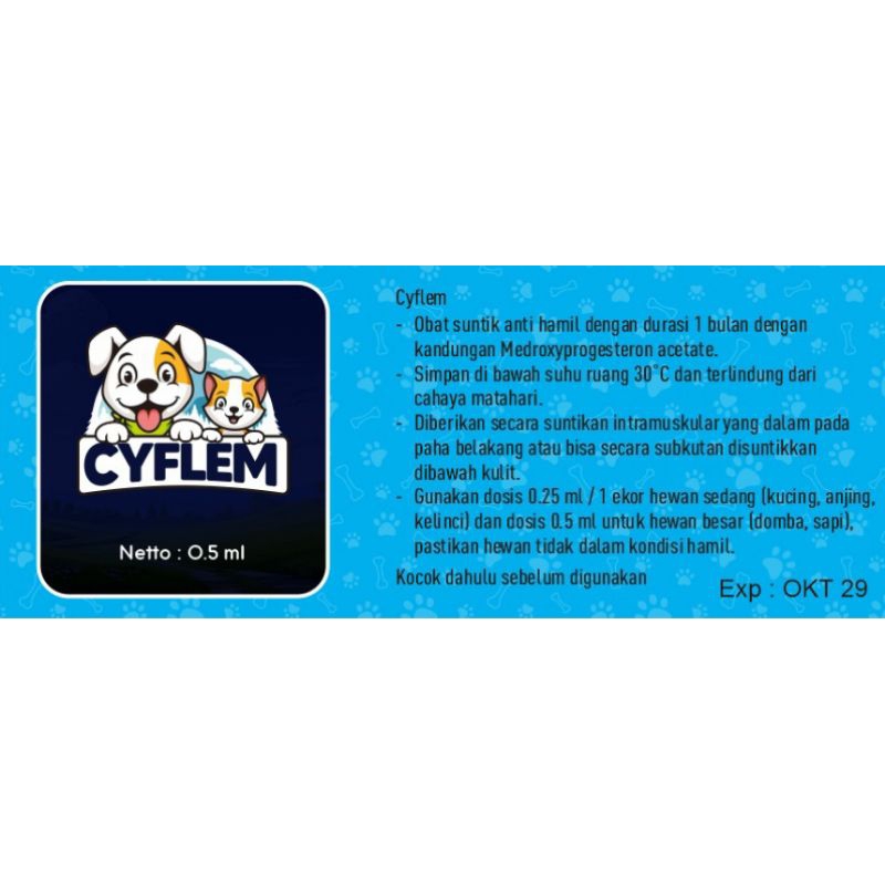 KB KUCING 1 BULAN, Free 1 suntikan