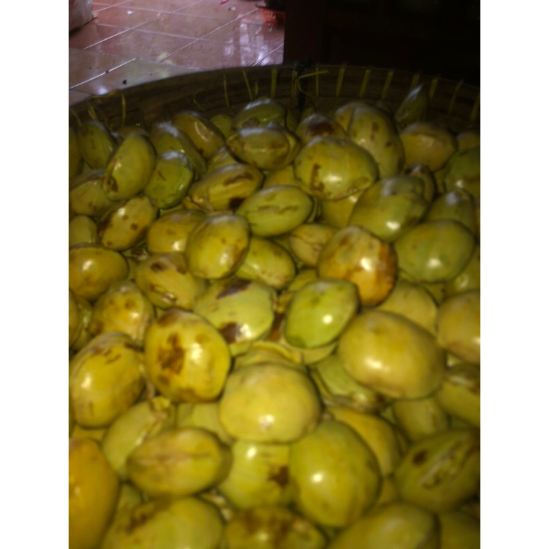 

Jengkol Fresh | Jengkol Segar 1 kg