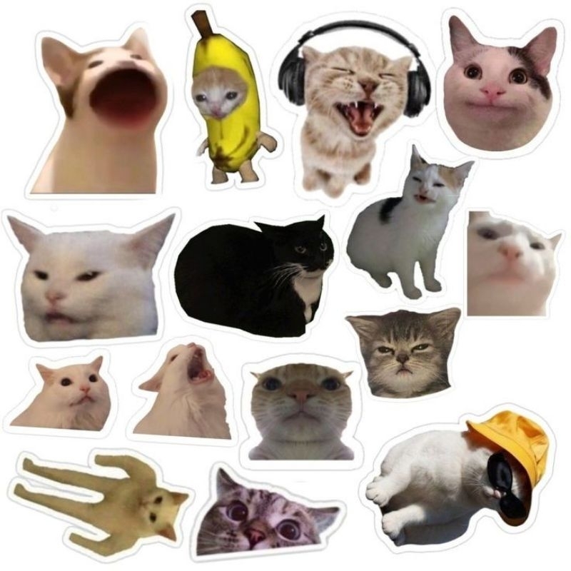

Sticker Tempel Kucing Imut Lucu Kualitas Terbaik