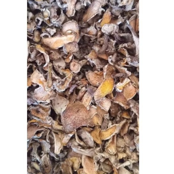 

kunyit / kunir kering iris 100 gram