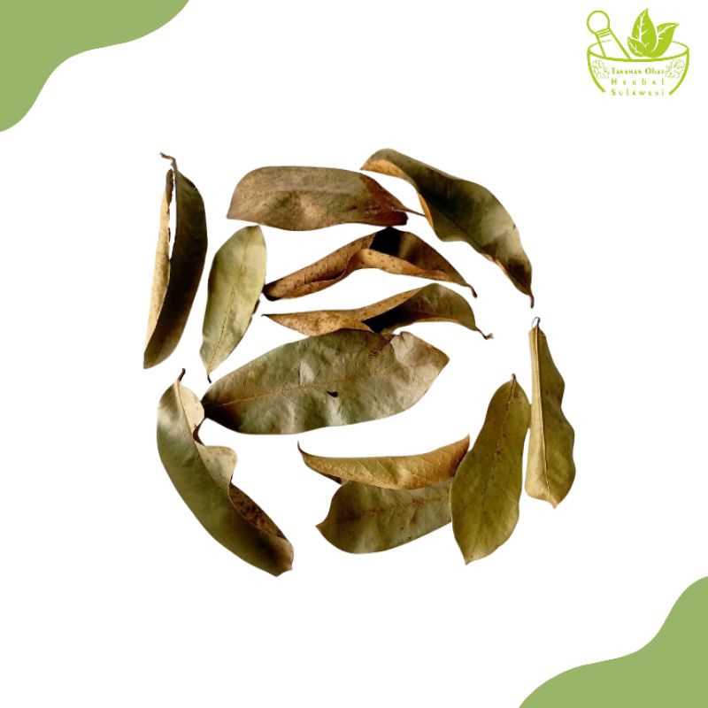 

Daun Sirsak Kering (25 Lembar)