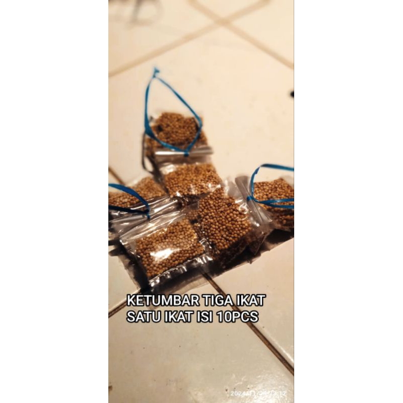 

ketumbar bubu masak tiga ikat, isi satu ikat 10pcs