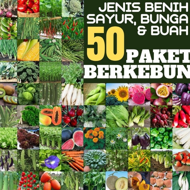 Serba baru Paket 5 Jenis benih bibit biji sayur bunga dan buah