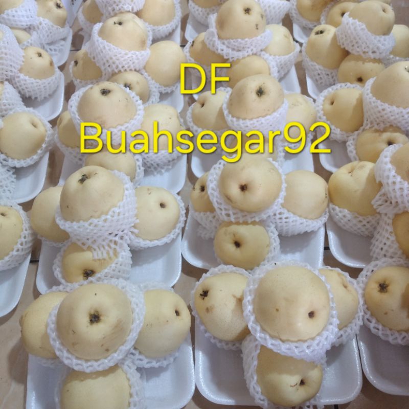 

buah pir yali 1pk isi 4 buah