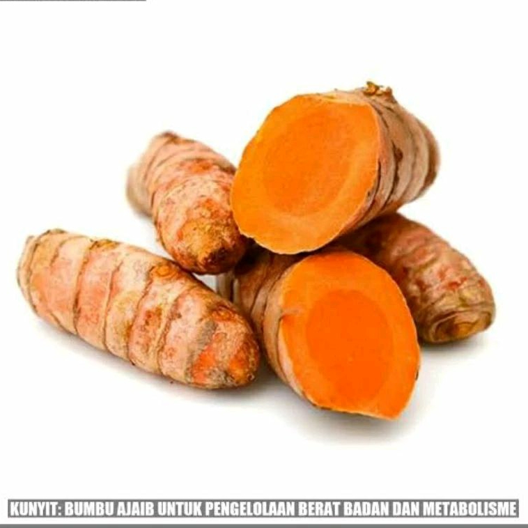 

PROMO TERMURAH!!! kunyit segar fress 1kg dan 500 gram