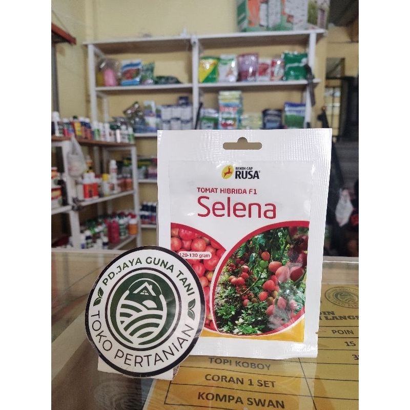 Benih/Bibit Tomat Selena F1 10gr