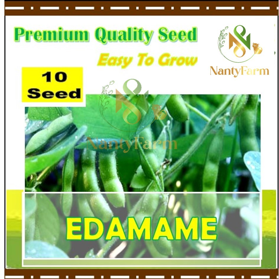 10 Biji Benih Edamame Benih Kedelai Edamame