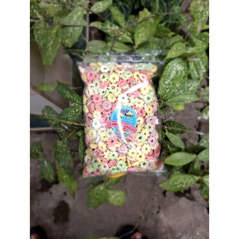 

Ajisan Warna - Warni
