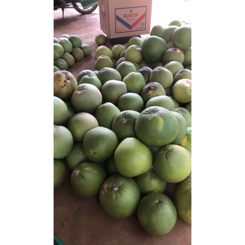 

jeruk pamelo madu berat 1,3-1,5kg