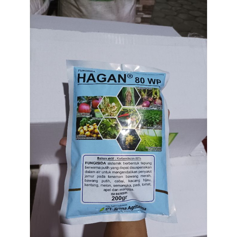 HAGAN 80 WP  KARBENDAZIM OBAT PATEK,KRESEK