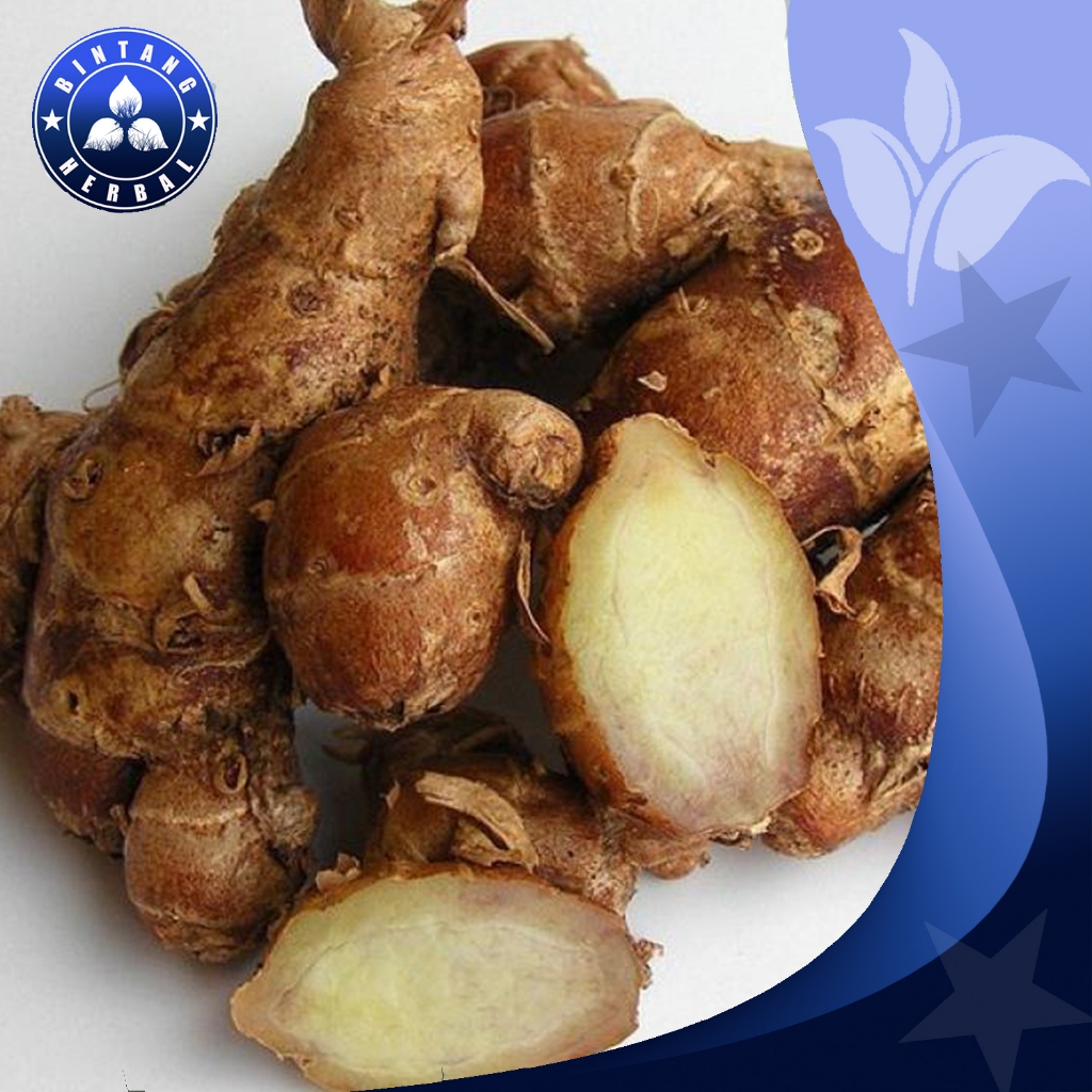 

JUAL KENCUR SUPER MURAH \ 100 GRM - BINTANG HERBAL
