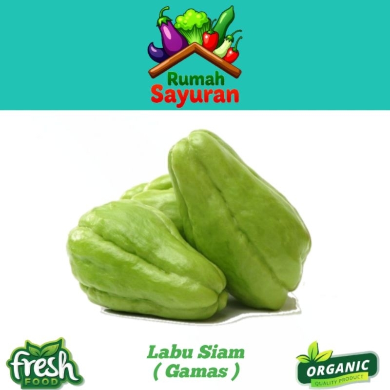 

Labu Siam Gamas 1kg Termurah