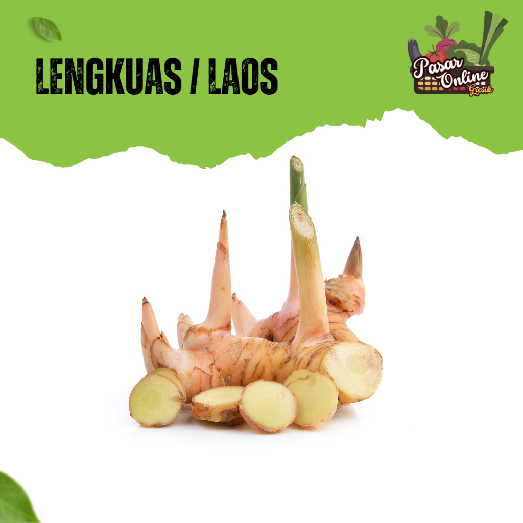 

LENGKUAS / LAOS - 500GR