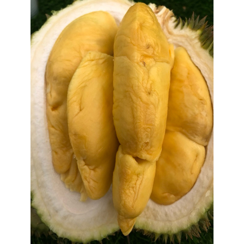 

Durian Masmuar Fresh