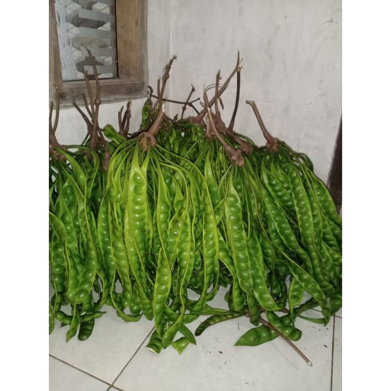 

Pette Super 1 ikat isi 10 lonjor