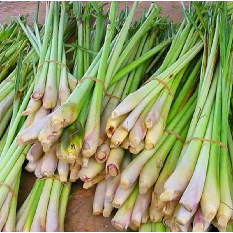 

[500 GRAM] Sereh Serai - Bahan Rempah - Bumbu Dapur