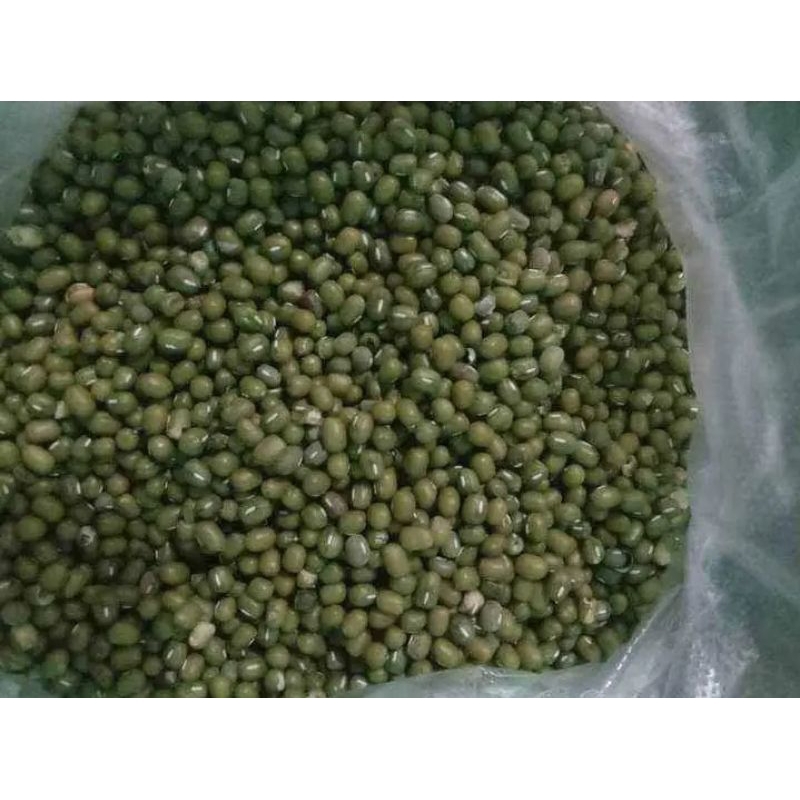 

Kacang Hijau 1KG