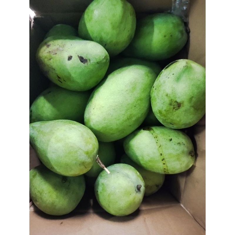 

Mangga harum manis 1kg