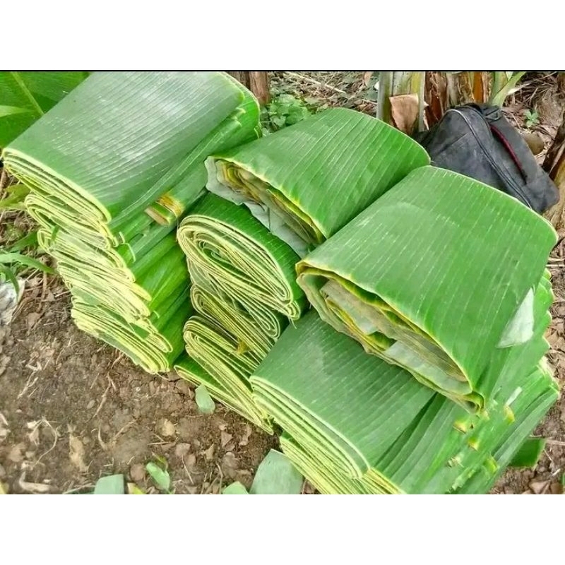 

daun pisang klutuk