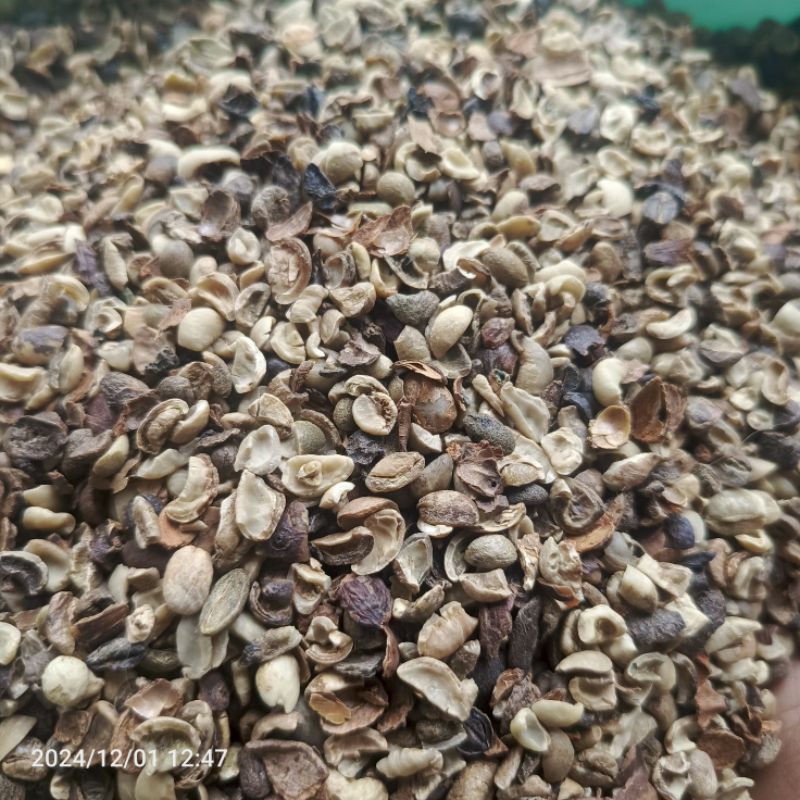 

Rijek Robusta Temanggung