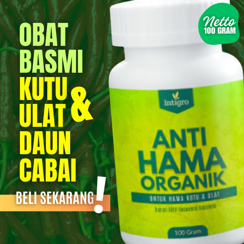 Insektisida Obat Pembasmi Hama Keriting Daun Kutu Thrips Aphis Wereng Kepik Ulat Cabe Tanaman Cabai