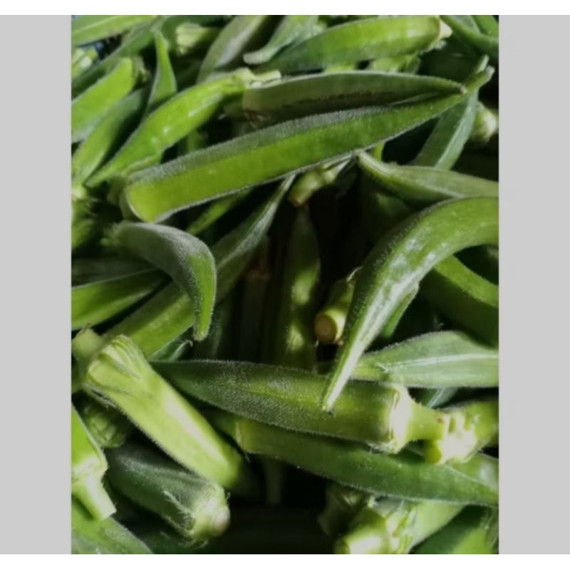 

1kg Okra hijau superfood lokal berkualitas sayuran sehat dan fresh kaya vitamin dan antioksidan tinggi serat dan rendah kalori cocok untuk diet