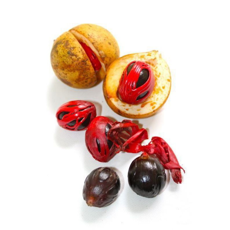 

Buah pala mentah /buah pala rempah rempah 1kg