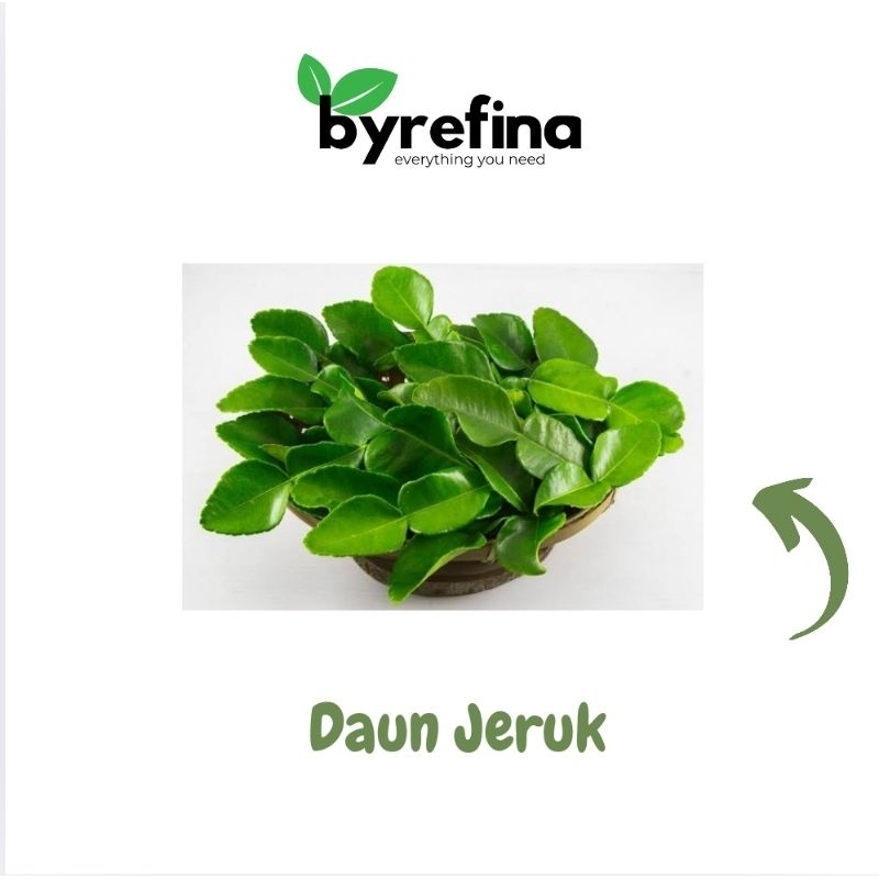 

Daun Jeruk 250gr - 1kg Fresh Surabaya / Byrefina