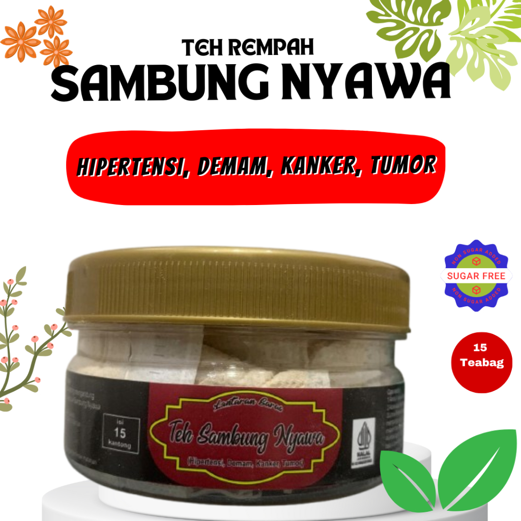 

Teh Sambung Nyawa Teh Daun Afrika Teh Celup Sambung Nyawa ( Hipertensi, Demam, Kanker, Tumor)