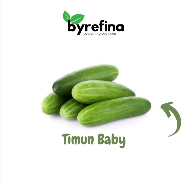 

Timun Baby Timun Lalap 250gr - 1kg Surabaya / Byrefina